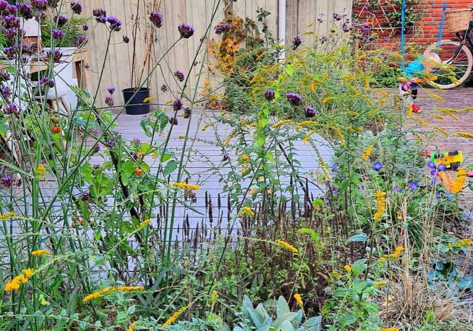 Biodiverser Lekker Groen Impressie