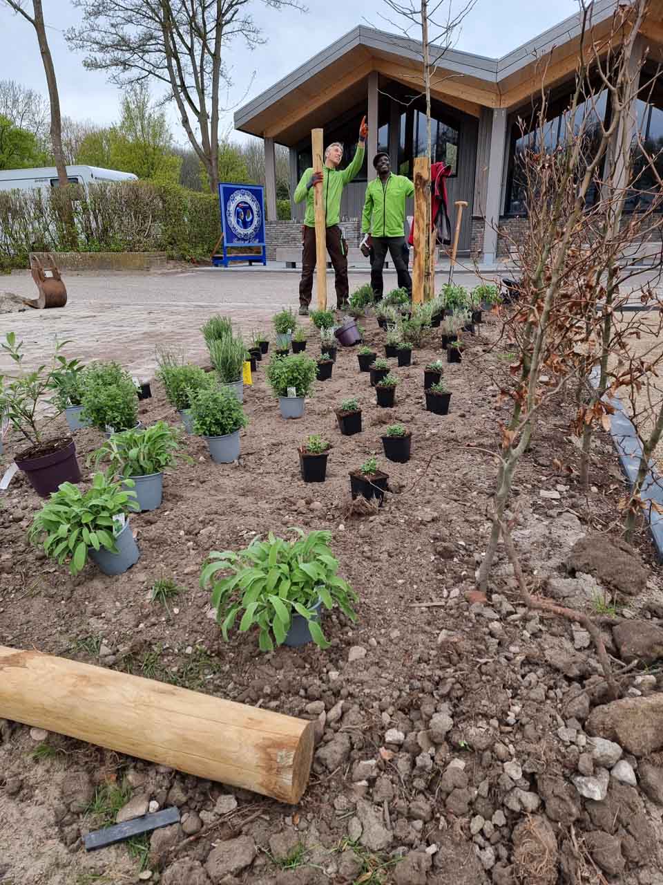 Lekker Groen Tuinontwerp (17)